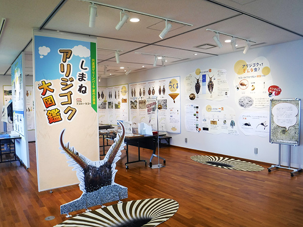 ロゼット ロゼット