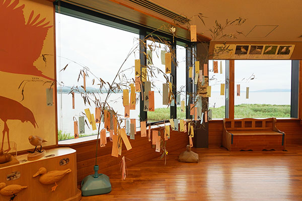 �Z��������