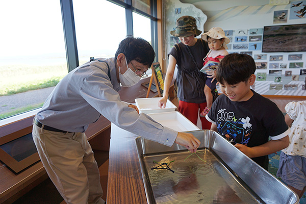 �ώ@�̂悤��