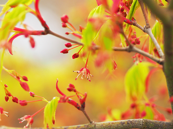 �C���n���~�W