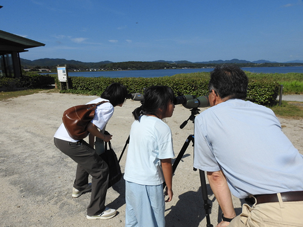 観察のようす 観察のようす