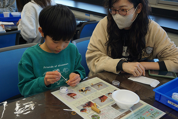 観察のようす 観察のようす