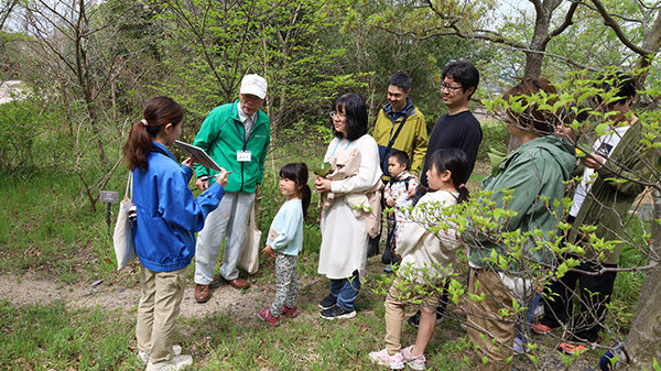 �ώ@�̂悤��