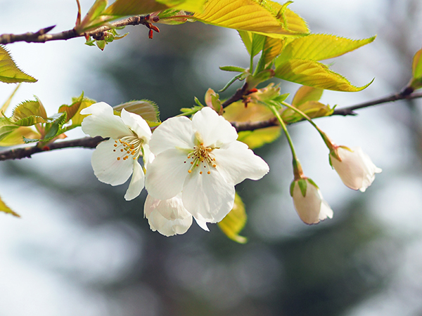 �I�I�V�}�U�N��