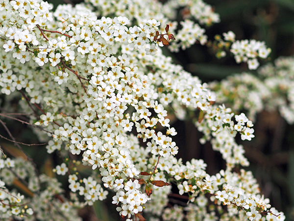 ���L���i�M