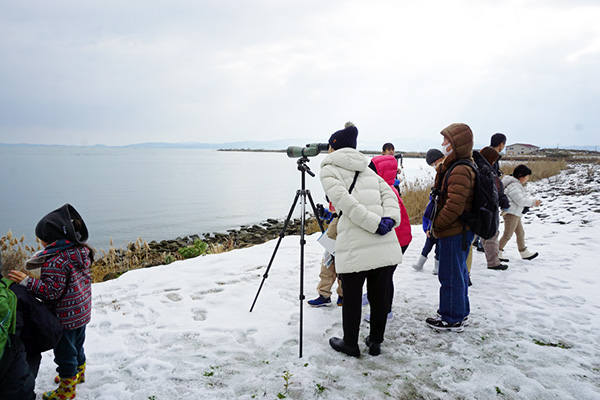 観察のようす 観察のようす