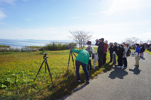 �{�����e�B�A����