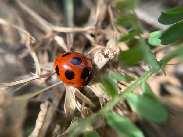 �i�i�z�V�e���g�E