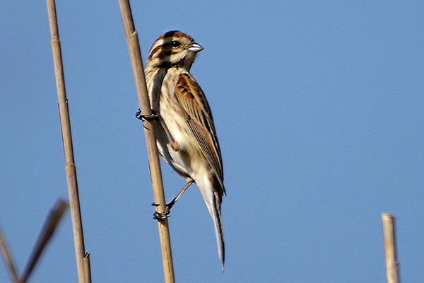 �I�I�W������