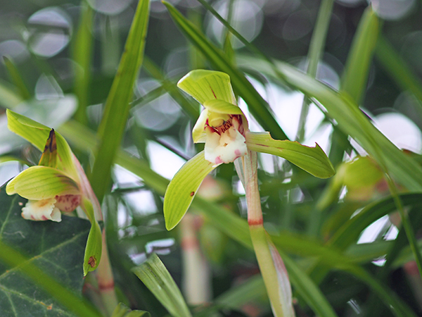 �V��������