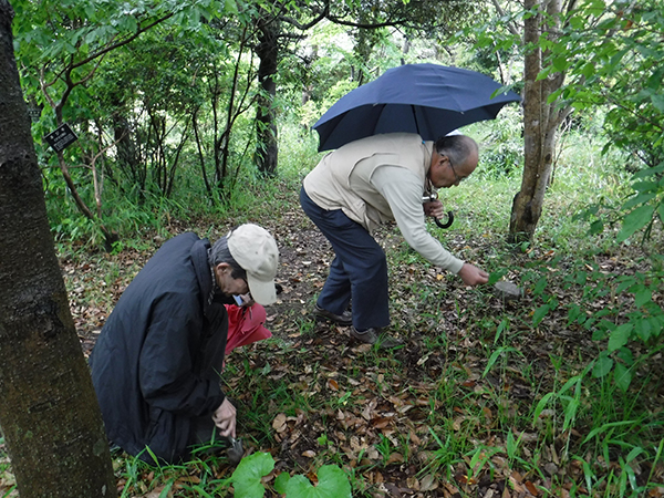 ボランティア活動 ボランティア活動