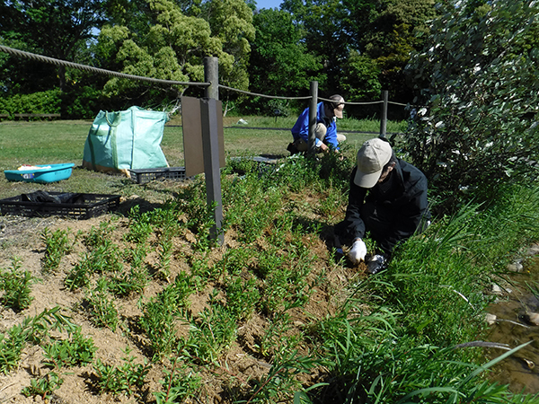 ボランティア活動 ボランティア活動