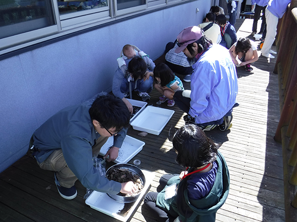 ボランティア活動 ボランティア活動