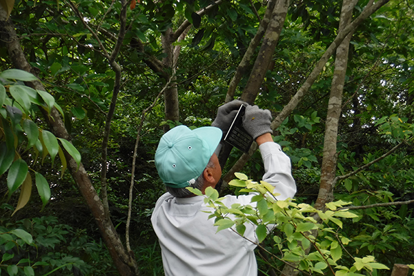 ボランティア活動 ボランティア活動