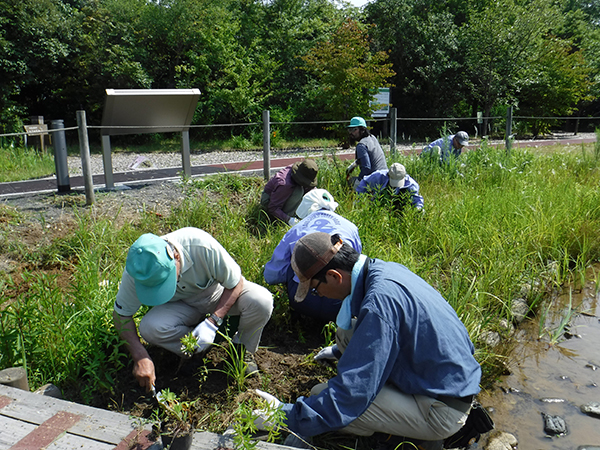 ボランティア活動 ボランティア活動