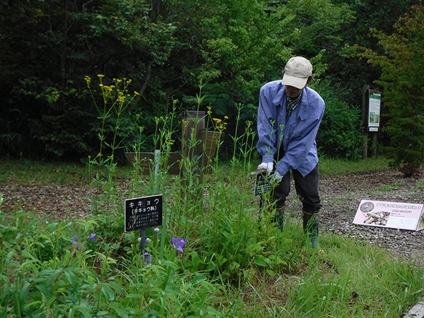 �{�����e�B�A����