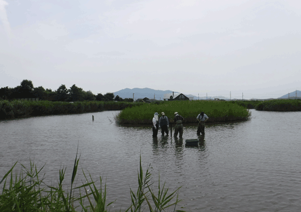ボランティア活動 ボランティア活動