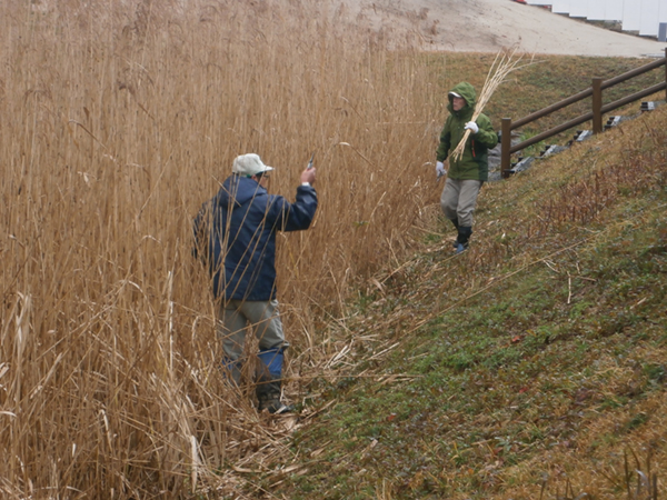 ボランティア活動 ボランティア活動