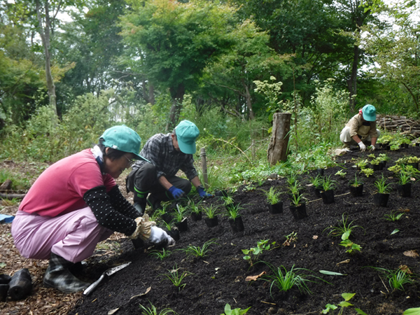 ボランティア活動 ボランティア活動