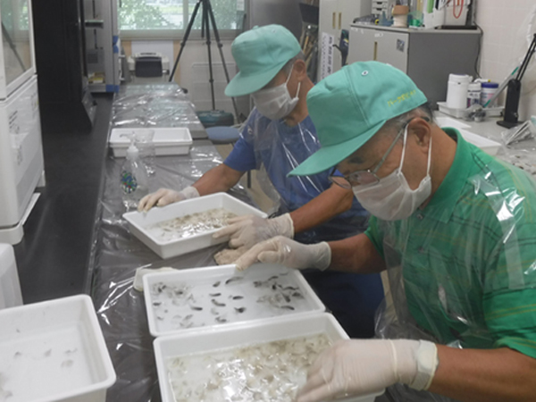 ボランティア活動 ボランティア活動