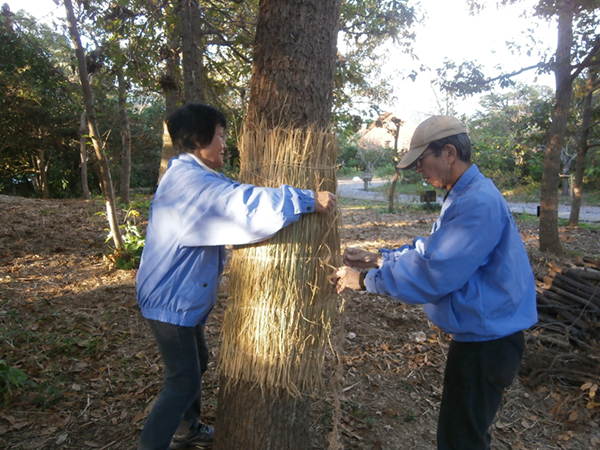 �{�����e�B�A����