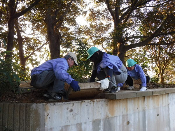 �{�����e�B�A����