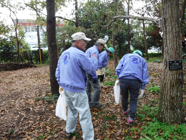 �{�����e�B�A����