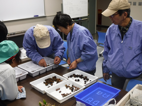 �{�����e�B�A����