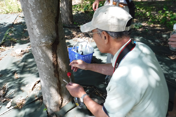 ボランティア活動 ボランティア活動