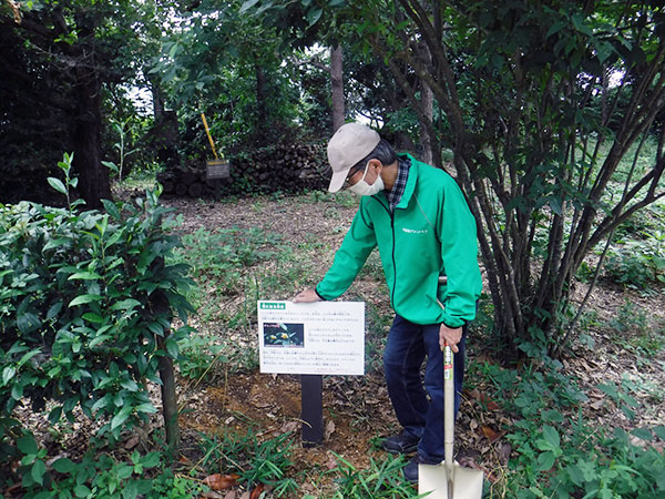 �{�����e�B�A����