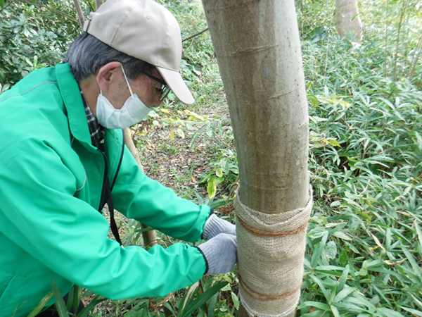 �{�����e�B�A����