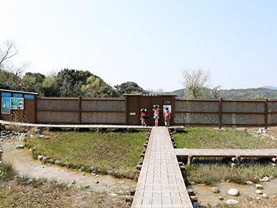 �ʐ^�̐���