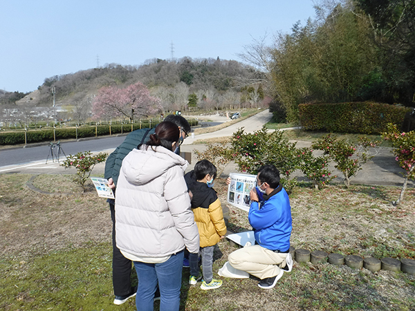 観察会の写真