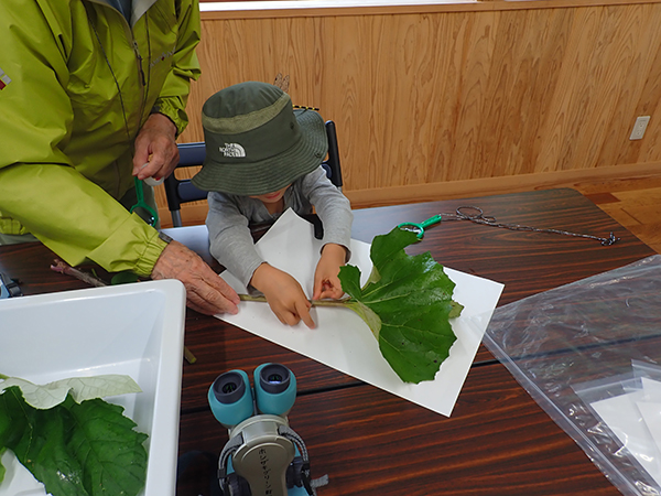 観察会のようす