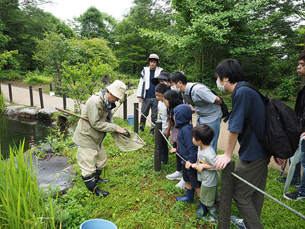 観察会のようす