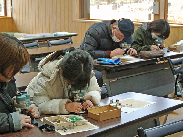 観察会のようす