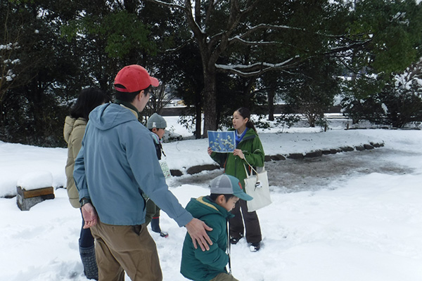 観察会のようす