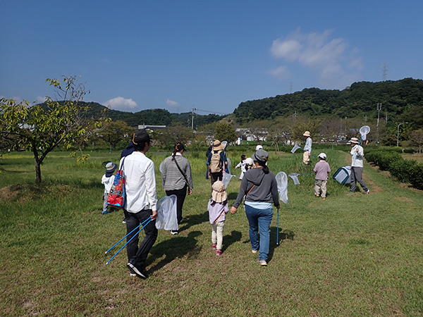 観察会のようす