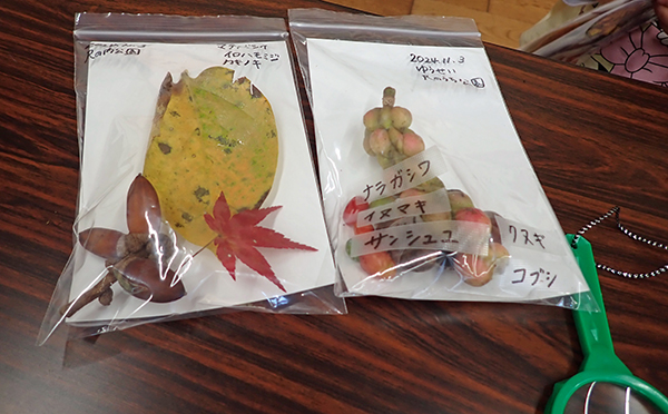 観察会のようす