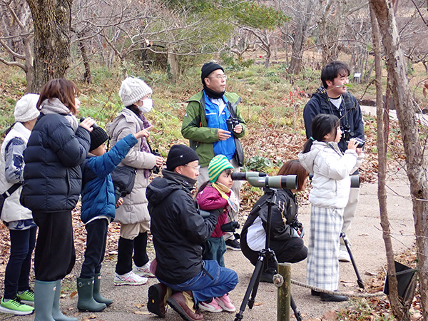 観察会のようす
