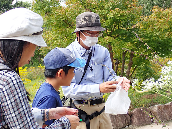 観察会のようす