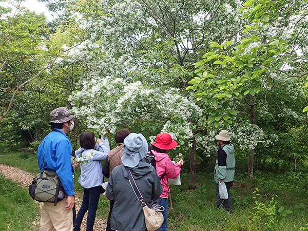 観察会のようす