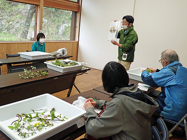 観察会のようす