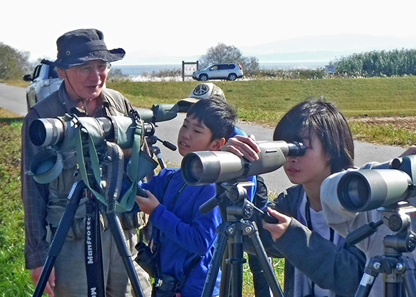 ヒカゲチョウ ヒカゲチョウ