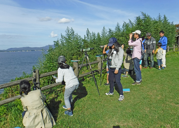 スッポン スッポン