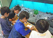 ゴビウスで活動 ゴビウスで活動