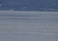 4回目の活動 4回目の活動