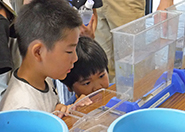 2回目の活動 2回目の活動