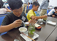 2回目の活動 2回目の活動