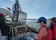 2回目の活動 2回目の活動